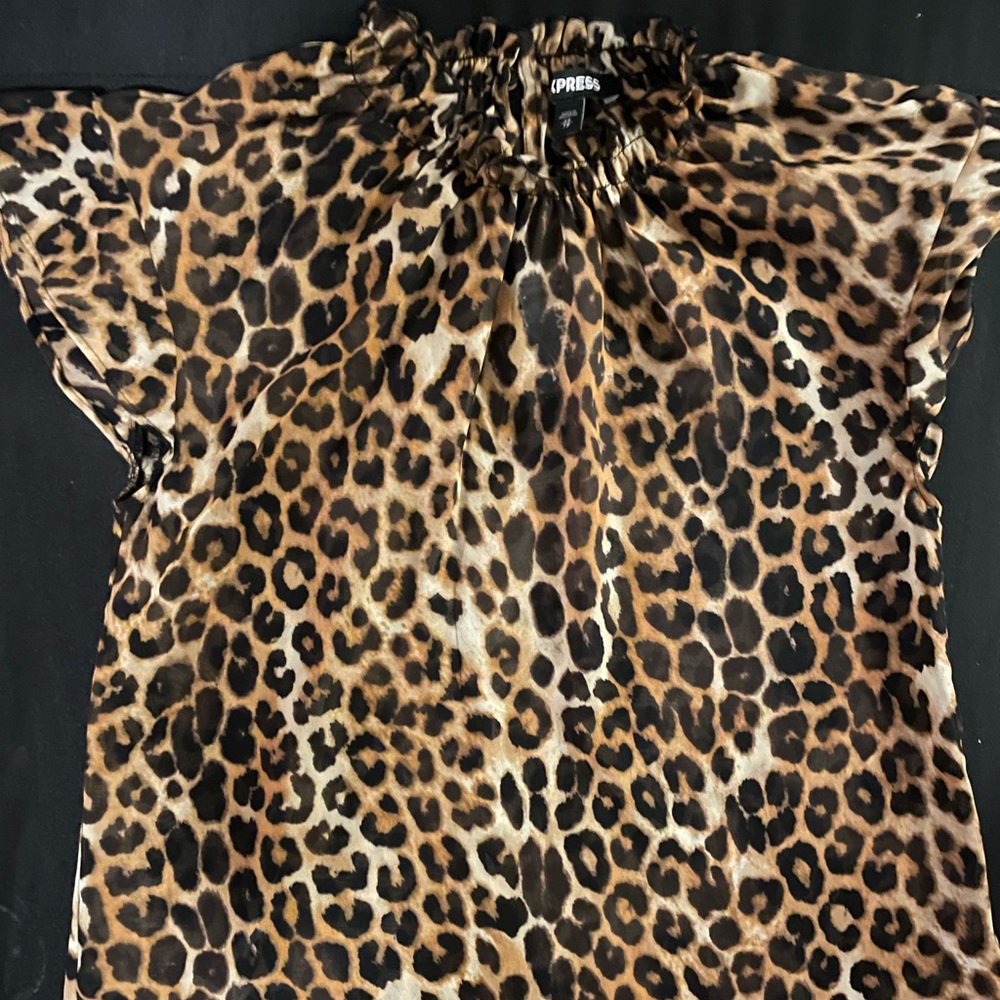 NWT express top